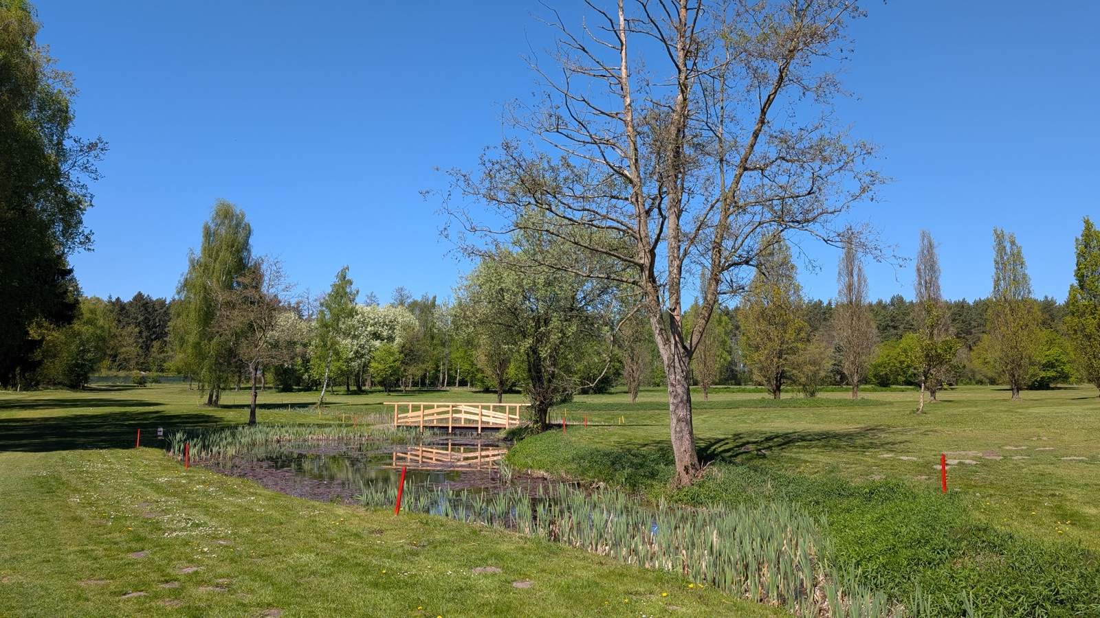 Teich mit Holzbrücke an der Bahn 16, die Wasserzone mit roten Pfählen markiert, dahinter eine Reihe hoher Pappeln