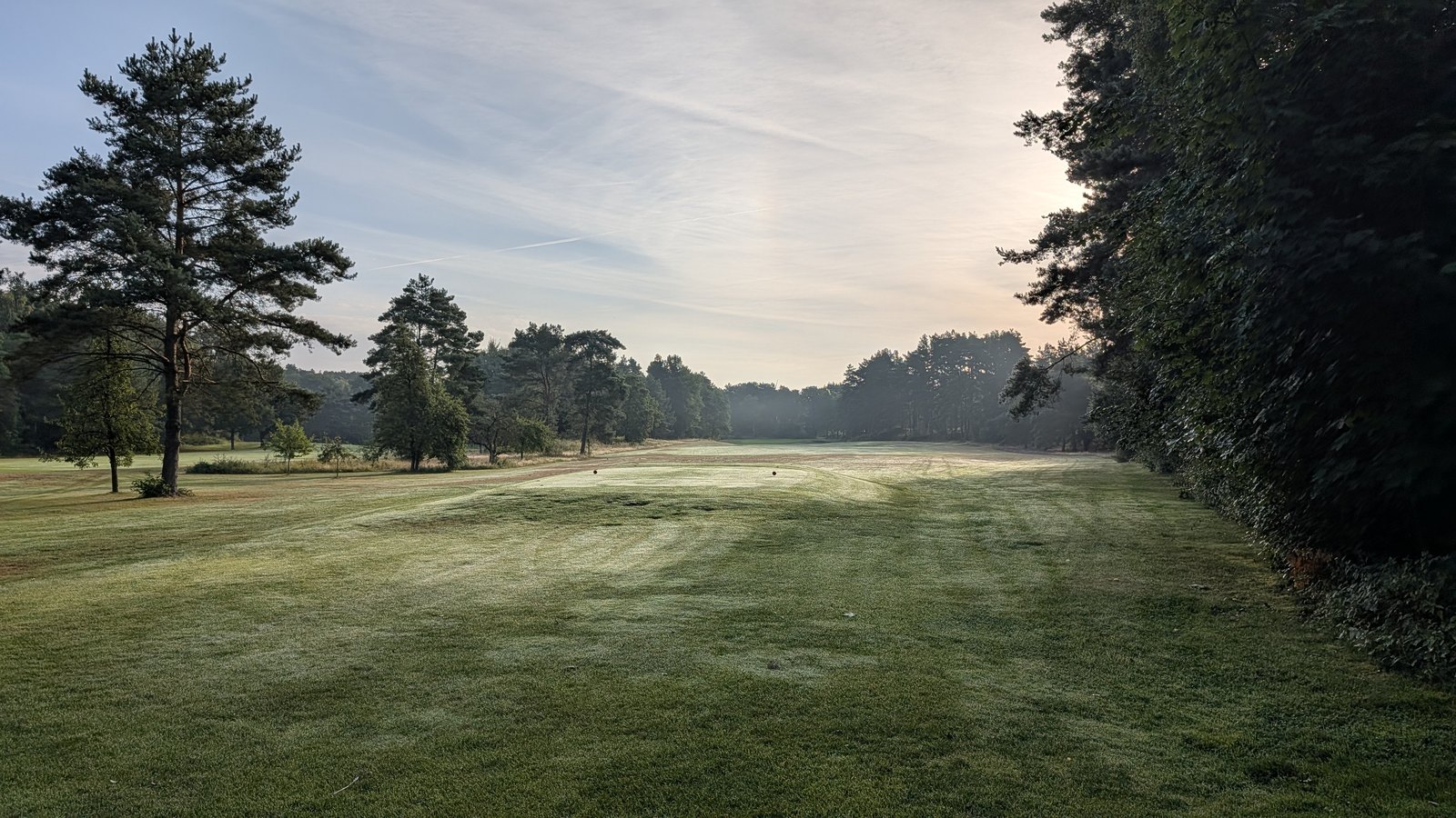 Blick über ein Fairway im Morgennebel, links hohe Kiefern, rechts eine dunkle Hecke, dahinter der Waldrand im Dunst